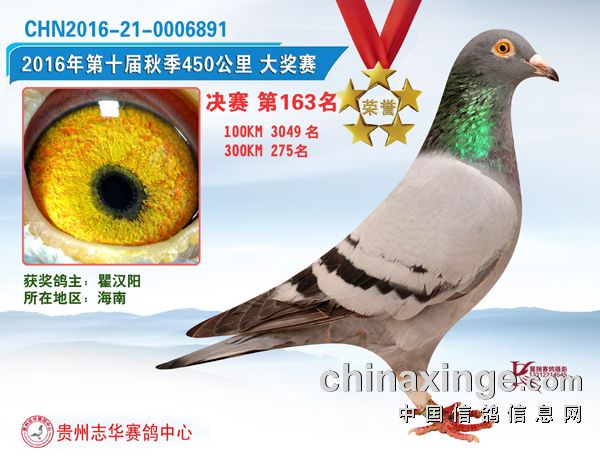 贵州志华赛鸽中心141-166名照片