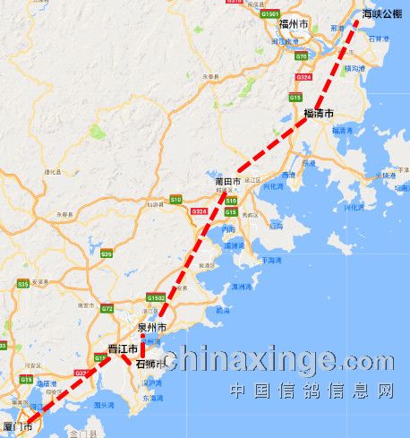 福建省海峡赛鸽公棚接鸽通知