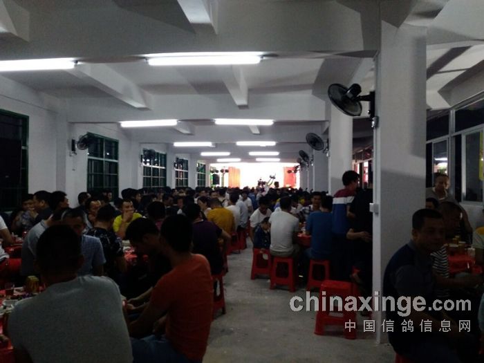 汕头大爱信鸽公棚开业庆典圆满结束感谢致辞