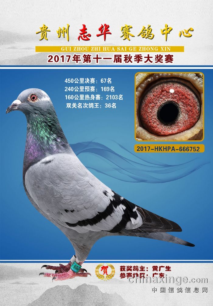 贵州志华赛鸽中心第十一届450公里秋赛66-75名照片