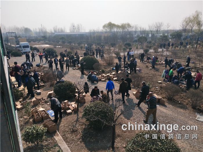 齐鲁兆佳春1棚交费探视照片