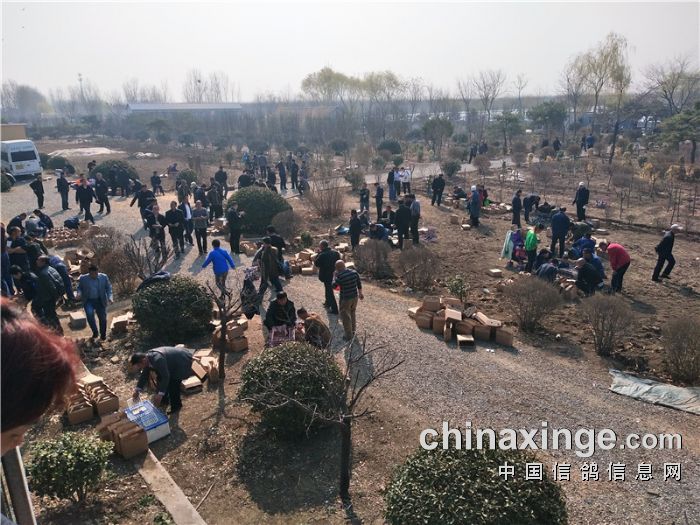 齐鲁兆佳春1棚交费探视照片