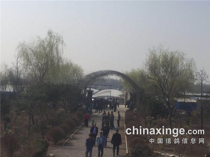 齐鲁兆佳春1棚交费探视照片