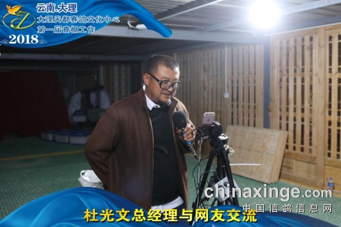 大理州天都赛鸽文化中心首届查棚精彩图集