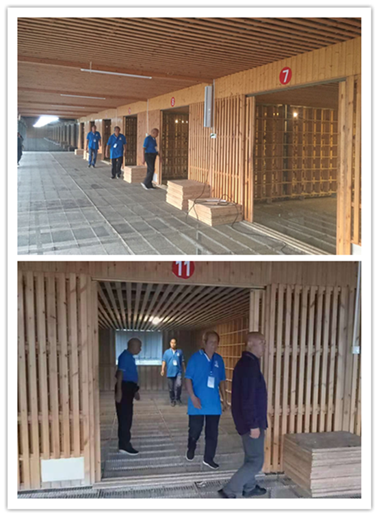 ����_����