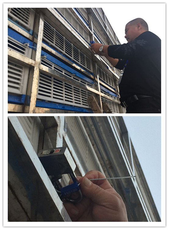 ��Ǧ�복_����