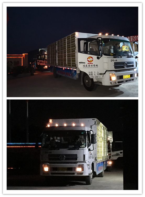 ����2_����