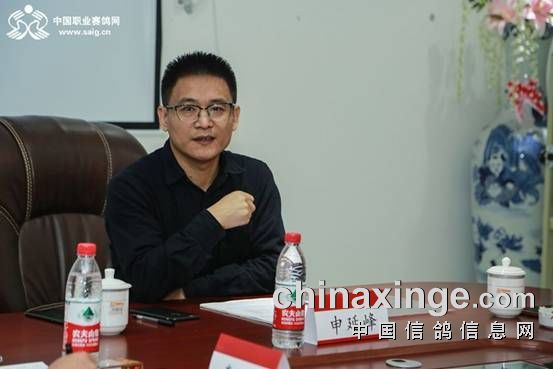 2019首届联盟杯第一次理事会常务会在京召开