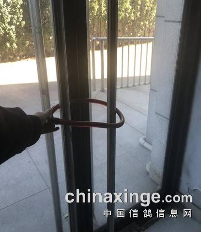 62ca7640d397660bb3c8401446e3fae