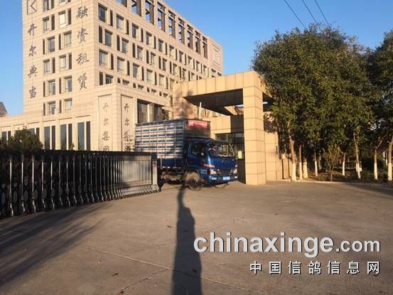 9072bd80456fdd2508783e5c960e2ed