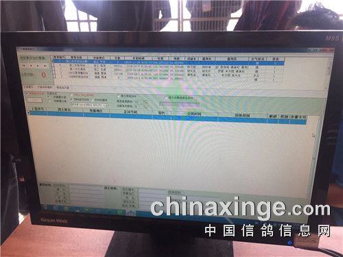 集鸽工作准备开始.jpg