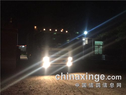 鸽车出发.jpg