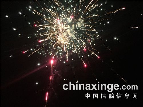 烟花1.jpg