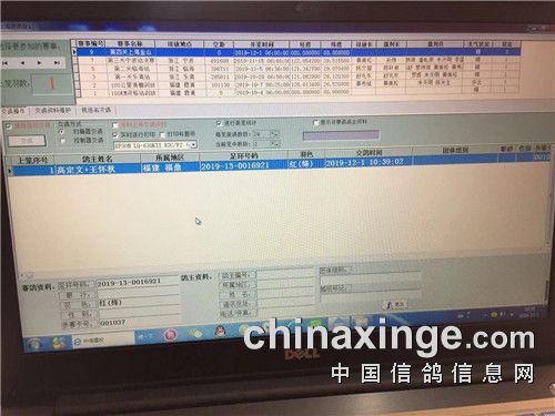 集鸽工作开始.jpg