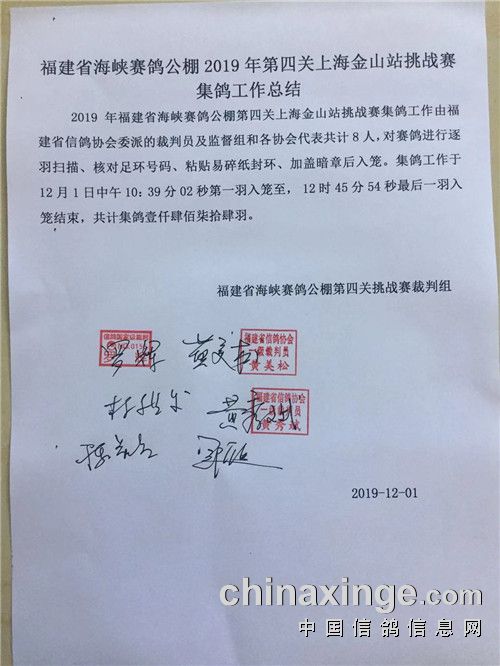 集鸽工作结束2.jpg