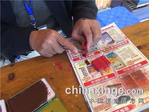 破损暗章.jpg