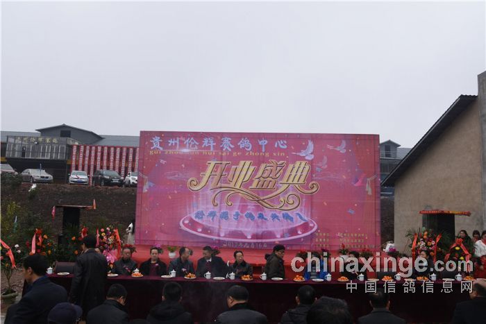 贵州伦辉赛鸽中心:开业部分照片