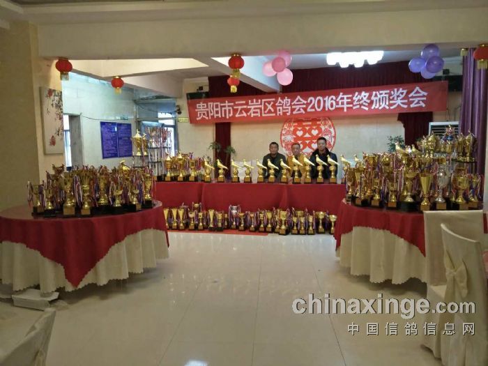 贵州伦辉赛鸽中心:热烈祝贺贵阳市云岩区信鸽协会2016年终颁奖会圆满