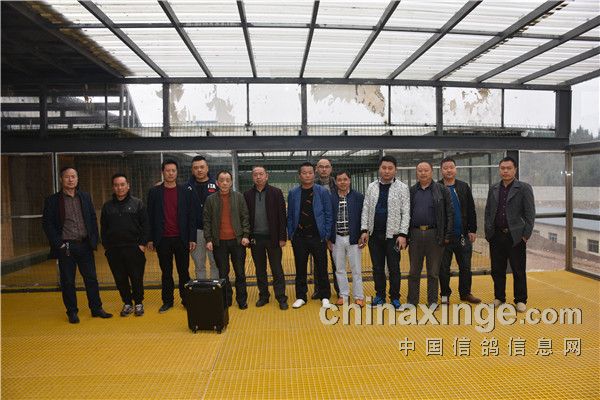 贵州伦辉赛鸽中心:监赛单位黔西县信鸽协会领导及云岩区信鸽协会领导