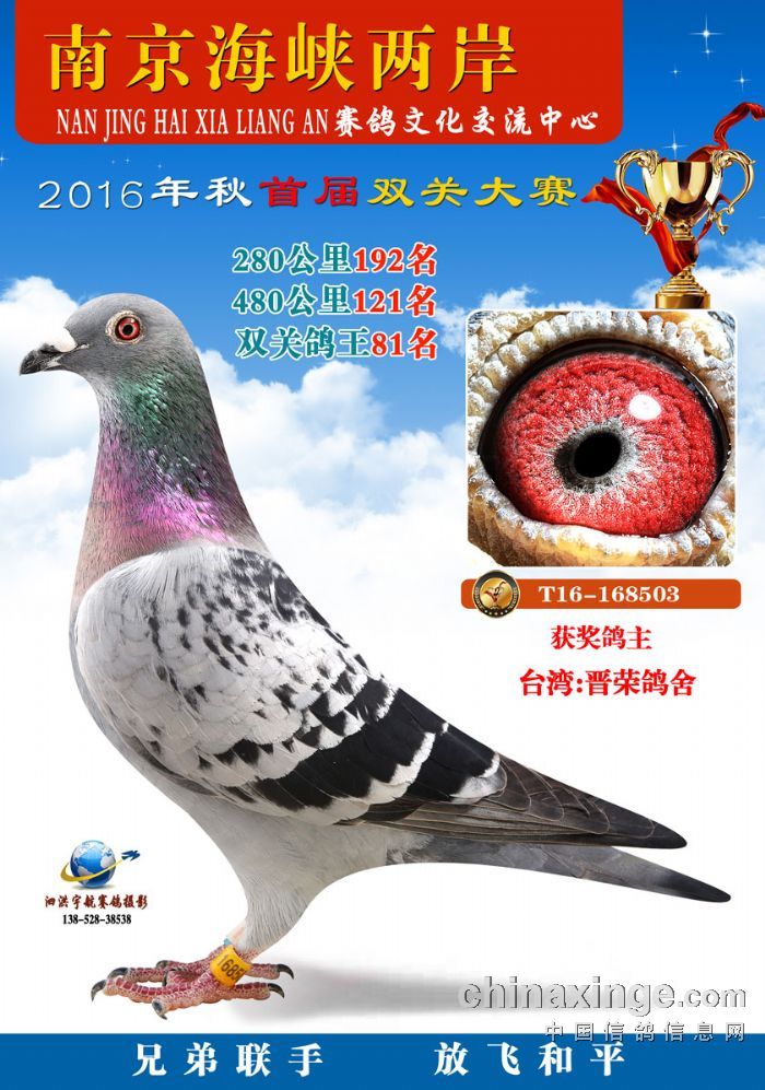 信鸽文化