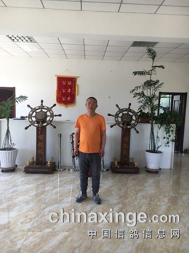 天津浩翔公棚300公里预赛鸽友监放代表名单更新中