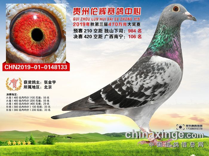 贵州伦辉赛鸽中心:决赛获奖鸽靓照鉴赏(101-130名)