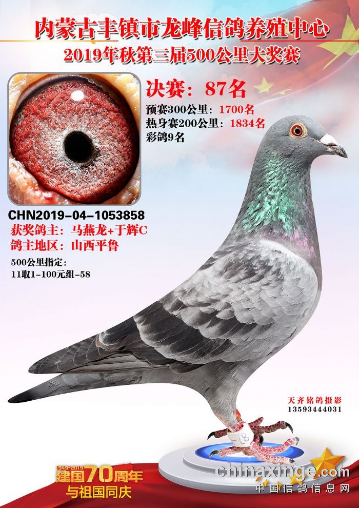 2019年龙峰公棚决赛获奖鸽6190