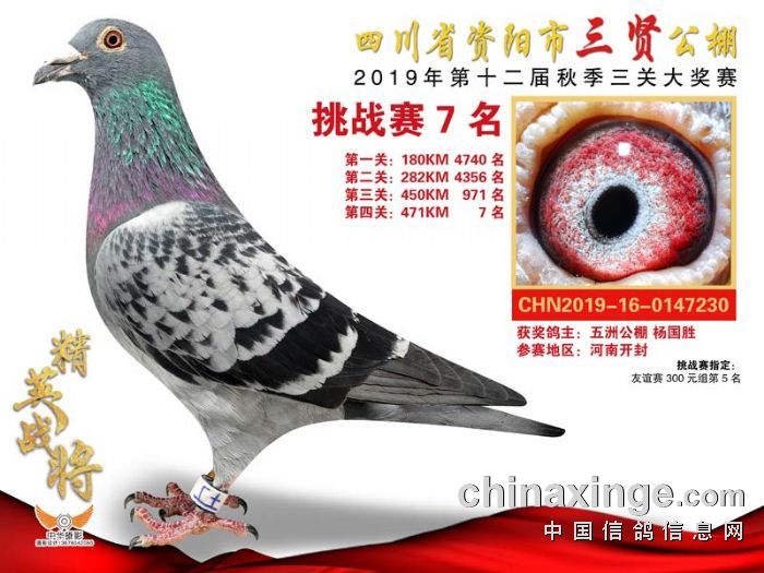 四川资阳市三贤公棚2019年加站赛获奖鸽1-30名