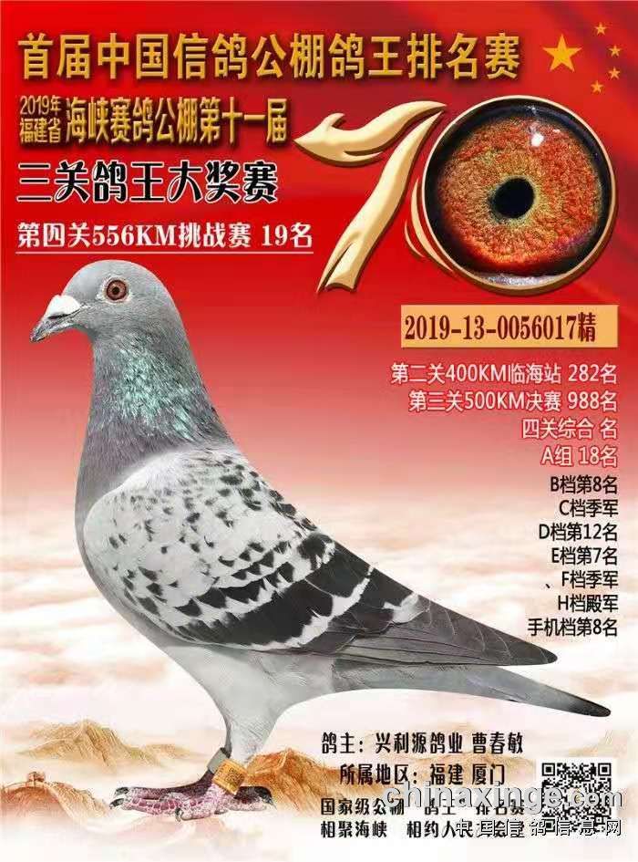贵州红枫大棚赛鸽中心图片